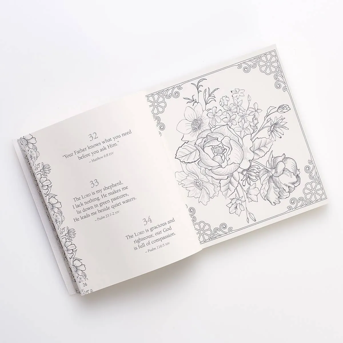 Coloring Devotional 365 Promises God's Word in Color