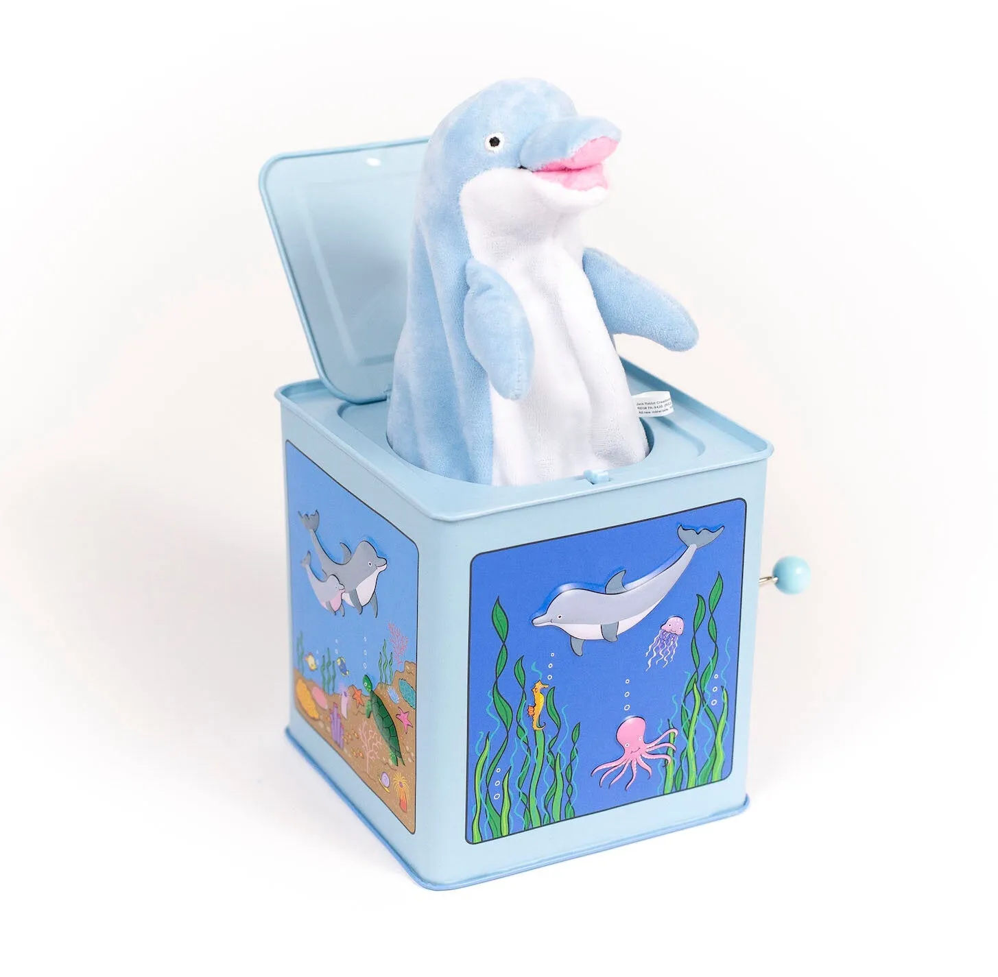Dolphin Jack in the Box