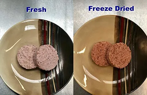 Freeze Dry Wholesalers Freeze-Dried Vegan Beyond Burgers - 6 Patties per Package