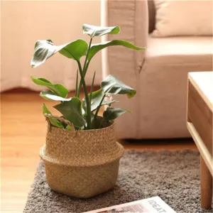 Plant baskets